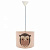 Подвесной светильник Arte Lamp Provence A5193SP-1WH