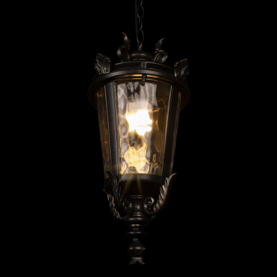 Уличный светильник подвесной Verona 100003P