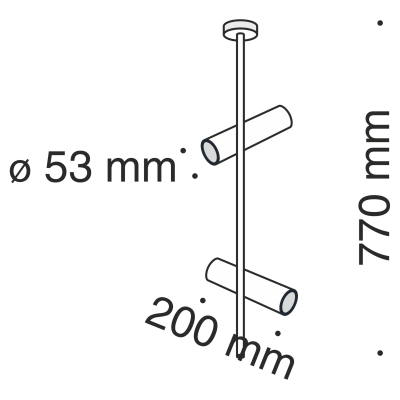 Потолочный светильник Maytoni C021CL-02B